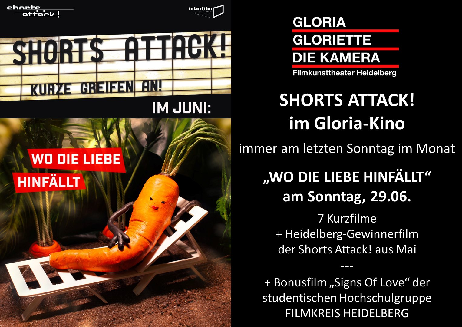 Shorts Attack Juni!
