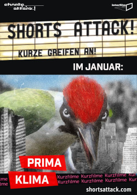 Shorts Attack! Januar