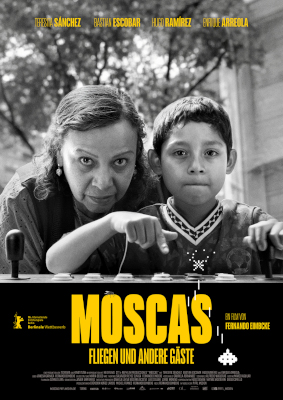 Moscas - Fliegen und andere Gäste