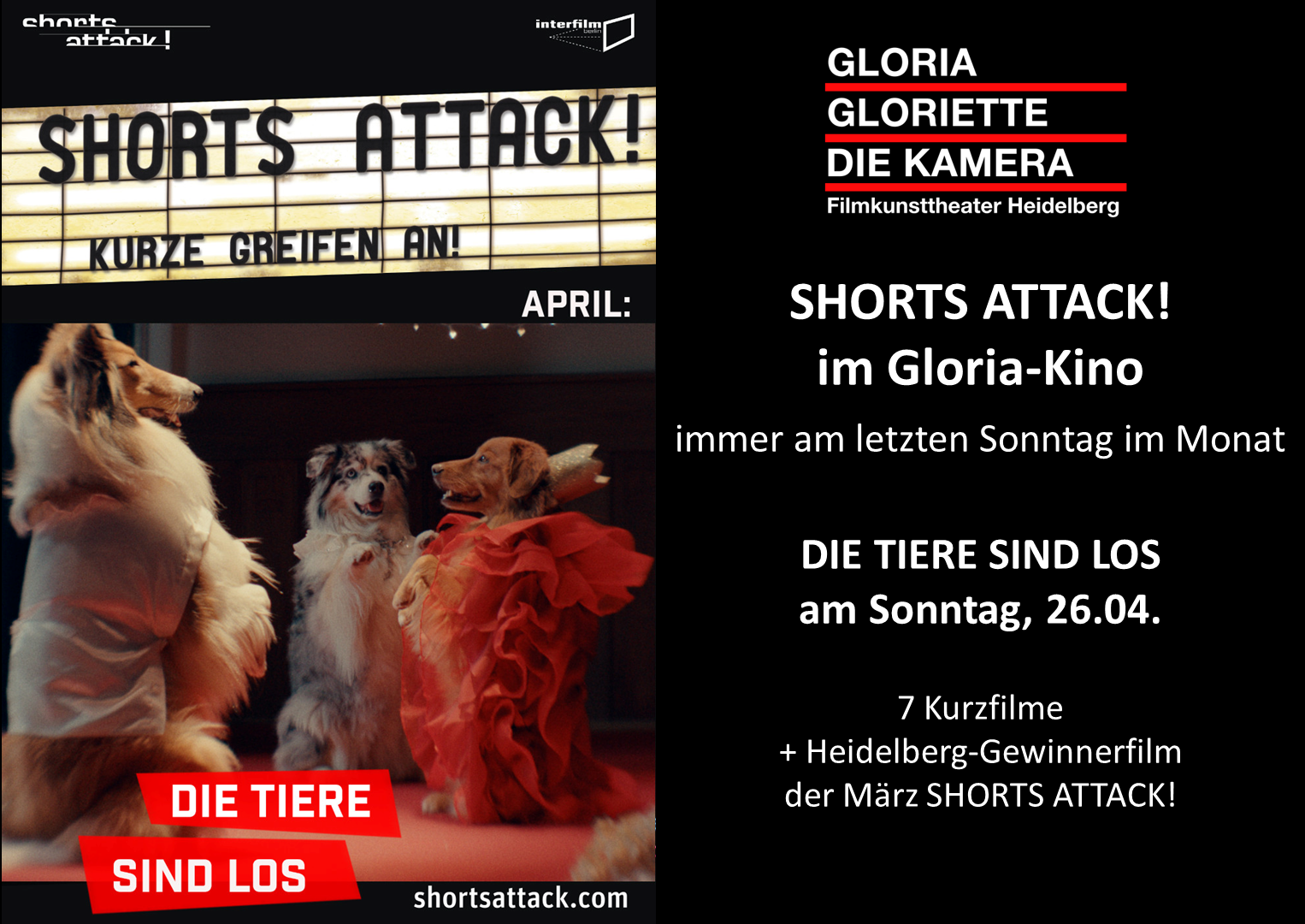 Shorts Attack April 2026