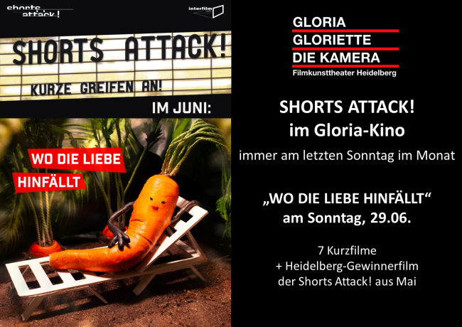 Shorts Attack! Juni