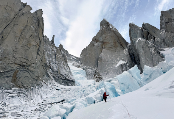 Chimères Patagones